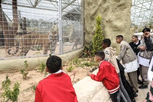 Tripoli zoo reopens to offer Libyans rare respite from violence