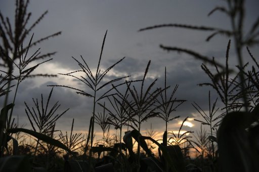 UN Calls For Long term Solution To Ethiopia s Drought Crisis