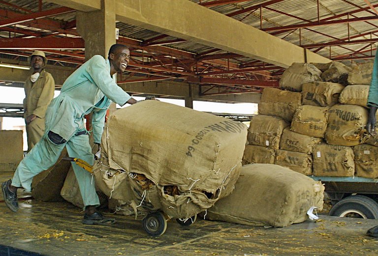 Zimbabwe agriculture rebounding Mugabe