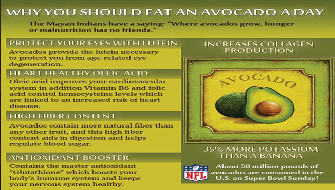 how much glutathione in avocado Health Benefits of Avocado main image 0