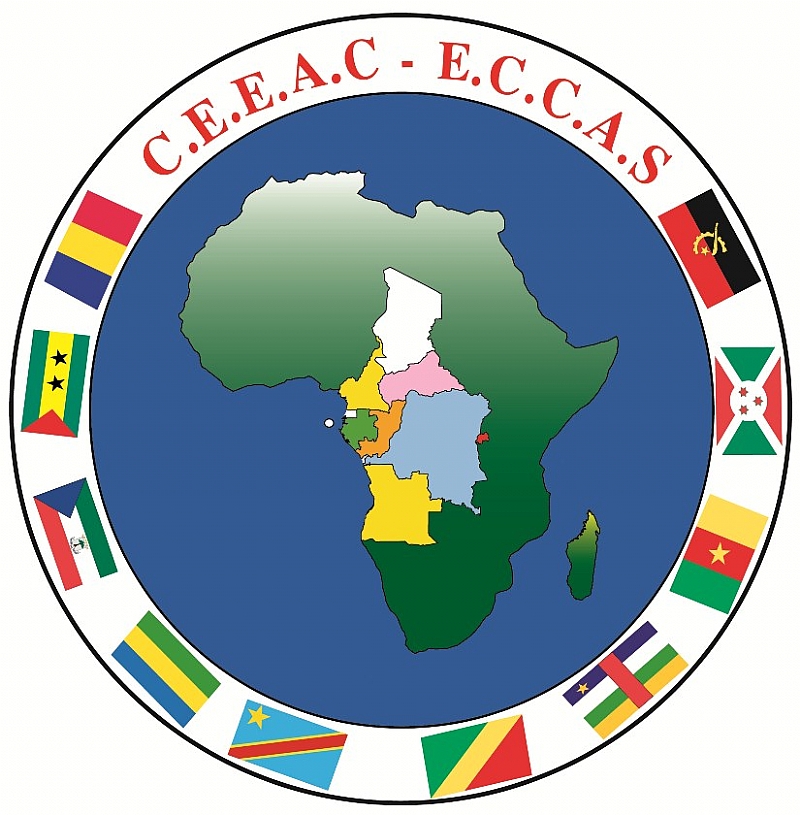 the-ministers-of-central-african-countries-are-taking-a-decisive-step