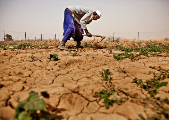 Impact Of Food Insecurity In South Africa