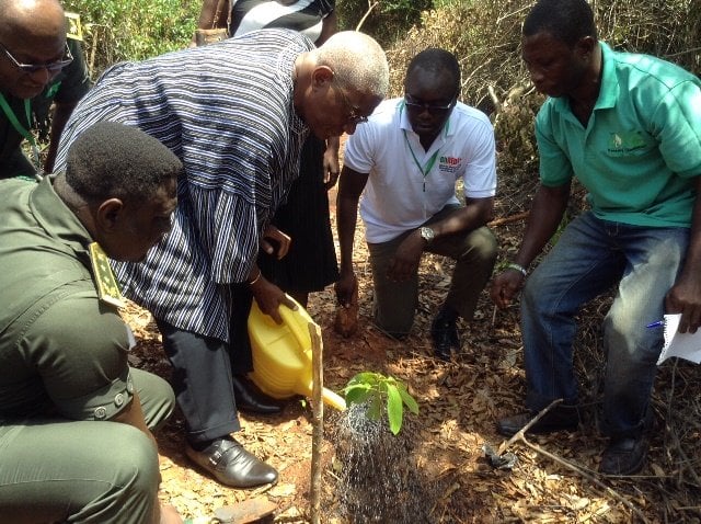 FC launches campaign to grow more trees