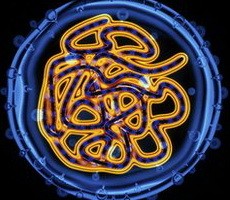 Hepatitis C vaccine: Oxford researchers' trial 'promising'