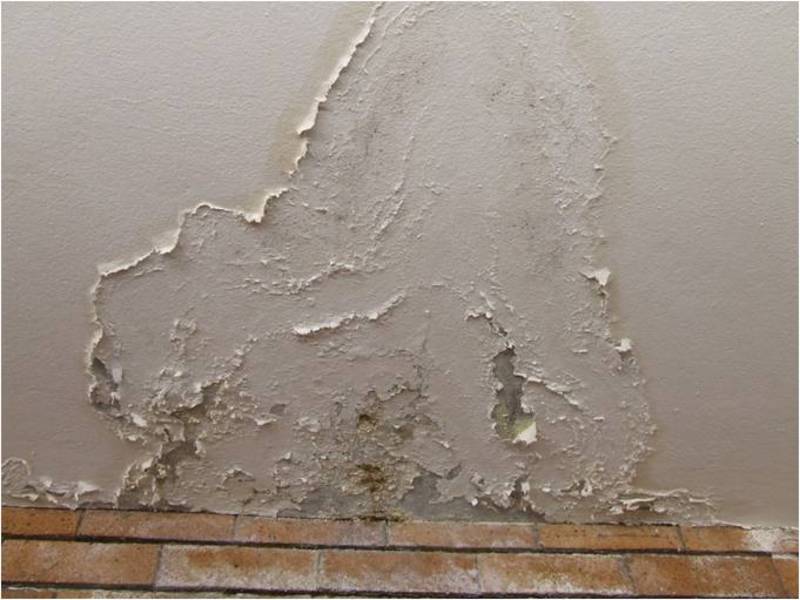 researchers-warn-of-health-risk-from-rising-damp-in-buildings