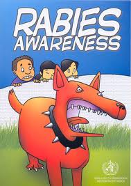 Ghana must be serious about rabies eradication