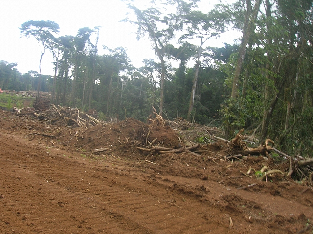 Cameroon Celebrates Ozone Protection Trophy