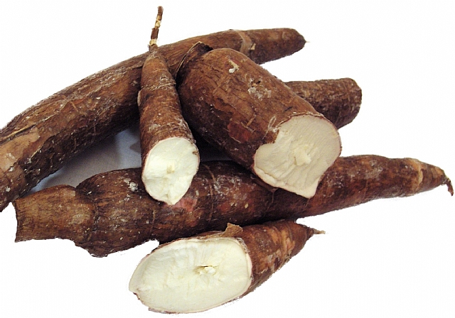 Farmers Get ProVitamin (A) Cassava Planting Materials For 2013 Planting