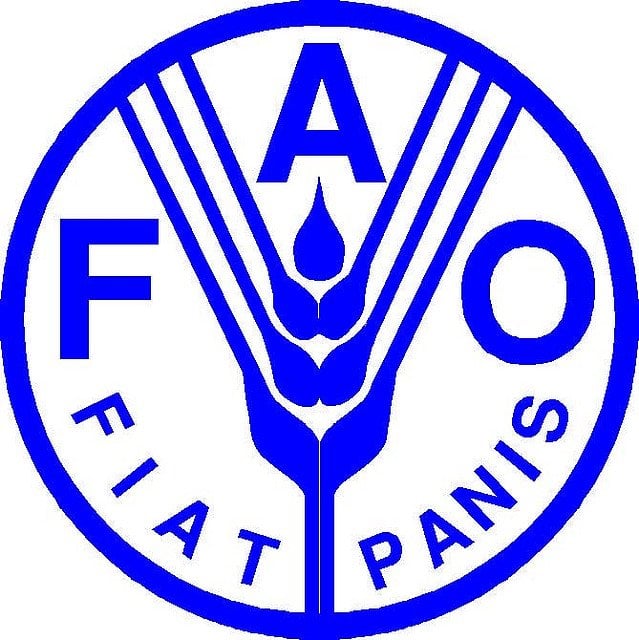 Planting For Food And Jobs Supported By FAO