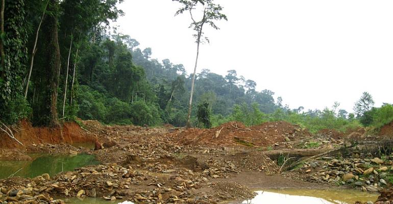 AFR100 initiative celebrates 111 million hectares of commitments to restore forests