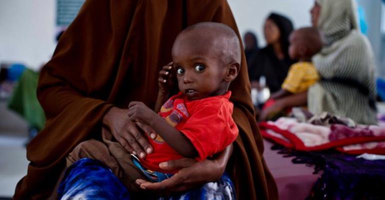 ‘Countless lives at stake’ warn NGOs as hunger in east Africa prompts major appeal