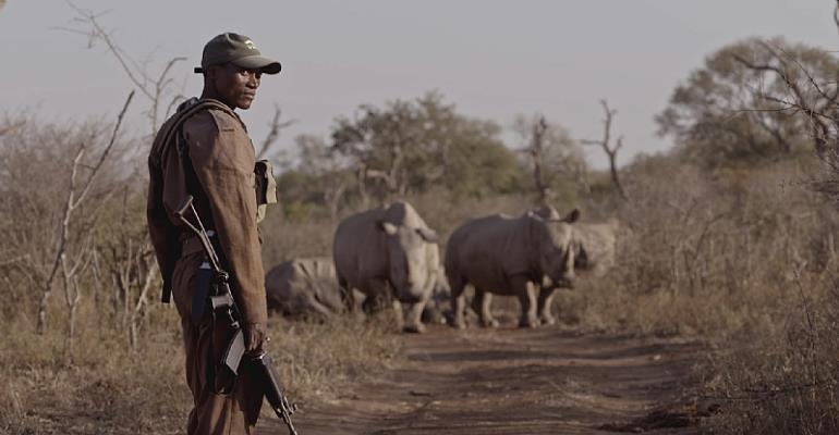 Al Jazeera English named Broadcaster of the Year at New York Festivals