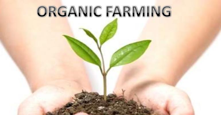 Sustainable Agriculture Introduction To Organic Farming