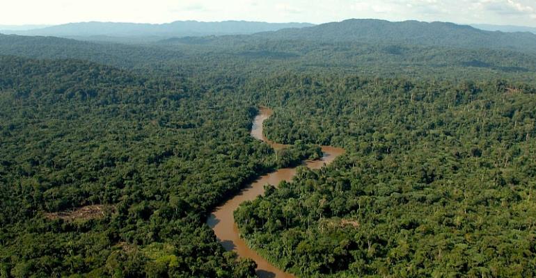 Here Are The Eight Largest Forests In Africa That Hold The Continent\'s Future, You Will Definitely Get Lost In Them
