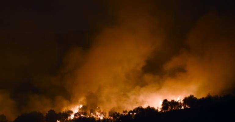 Tunisia loses swathes of forest in fires