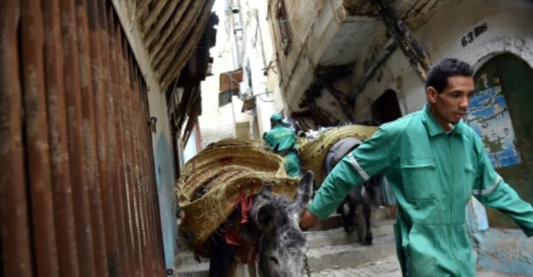 Donkeys at dawn: a rubbish job in the Algiers Kasbah