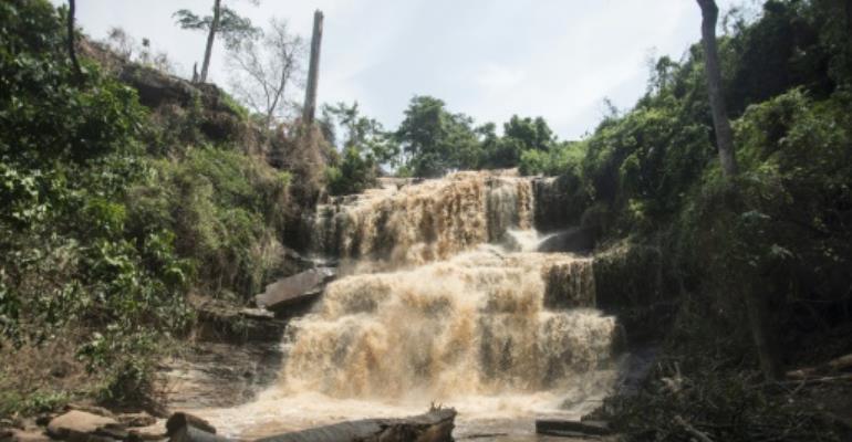 Ghana shuts tourist site where 20 died in freak tree accident