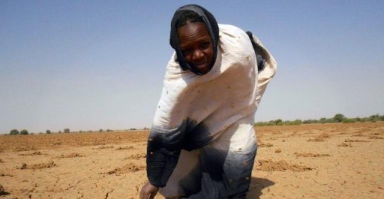 The New Face Of The Sahel: Grassroot Initiatives Promote Changes In Livelihoods