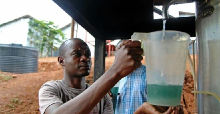 Rwanda\'s essential oils offer big profits from little land