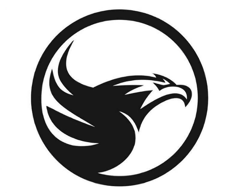 DennHann RADIO logo