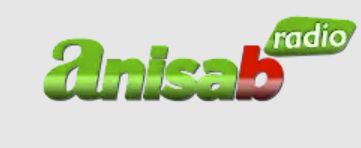Anisab logo