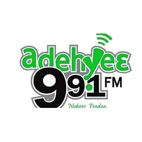 Adehyie Fm 99.1mhz logo