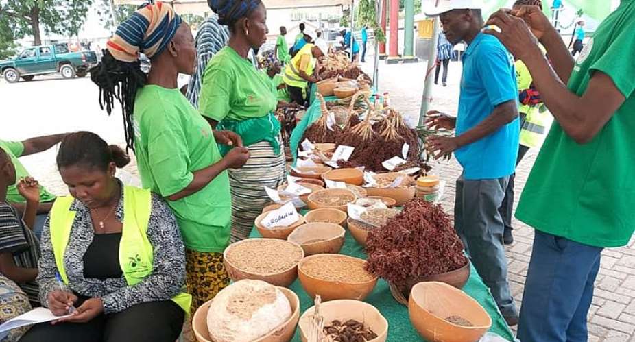 Two NGOs organize indigenous Seed Fair in Upper East Region