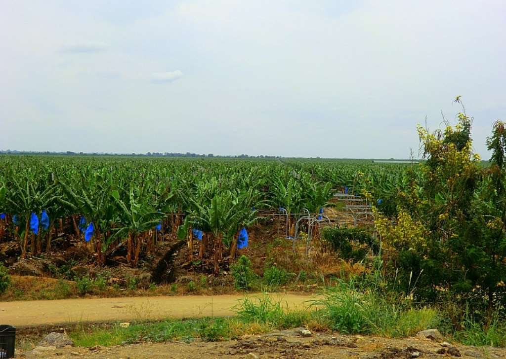 Kas Estate Gh. Ltd. Amasaman Office, Greater Accra (+233 30 296 6707)