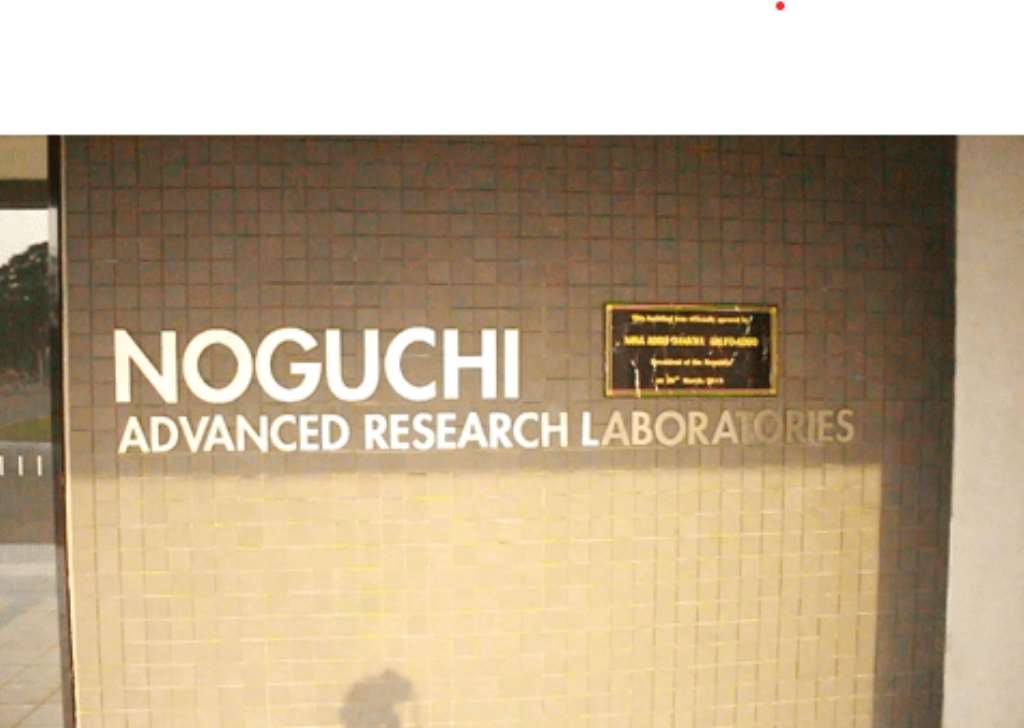 COVID-19: Noguchi Memorial Institute Tests 100,000 Samples — Prof Annan Discloses