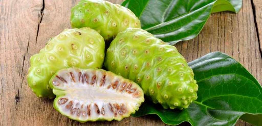 health benefits of noni