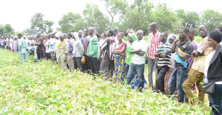 Salvaging the plight of farmers affected with floods through the Kirkhouse Trust SCIO Project of CSIR-SARI