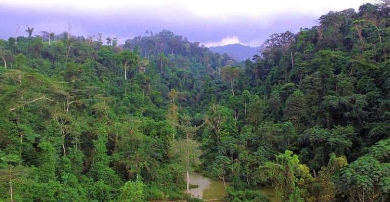 GIADEC Not Conforming To National And International Transparency And Environmental Standards