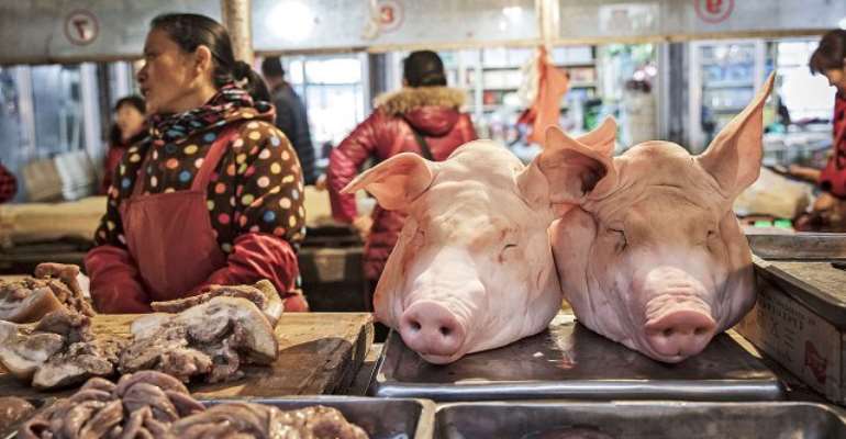 China's Pork Shortage Puts Dog, Rabbit Meat Back On Menu