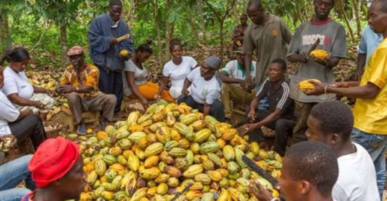Windfall At 2020/21 Cocoa Sale: Ghana Bags Extra $40m