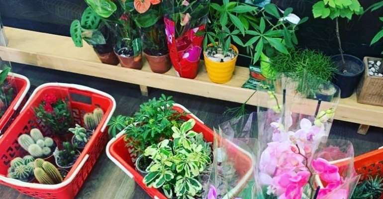 Harnessing Ghana's Floriculture Industry For Job Creation: President Of African Resources Calls For Stakeholder Collaboration