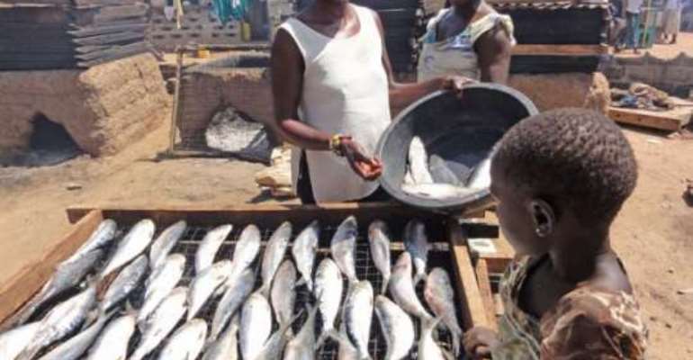 Fishmongers Campaign Against 'Galamsey On The Sea'