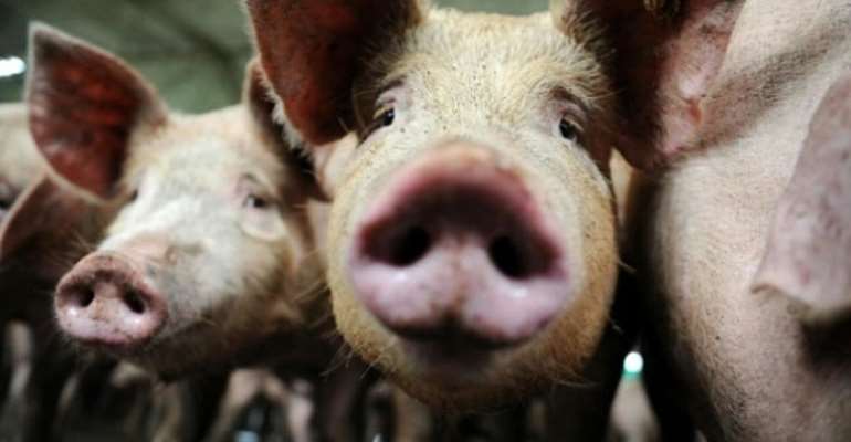 China claims pork from France infected with traces of Covid-19