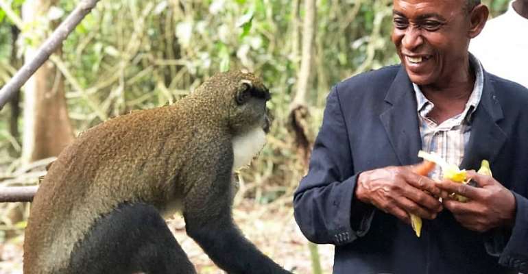 The Monkey Love