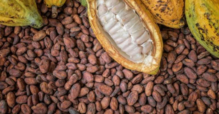 Ghana, Ivory Coast Fix Cocoa Prices To Stop Exploitation Of Farmers