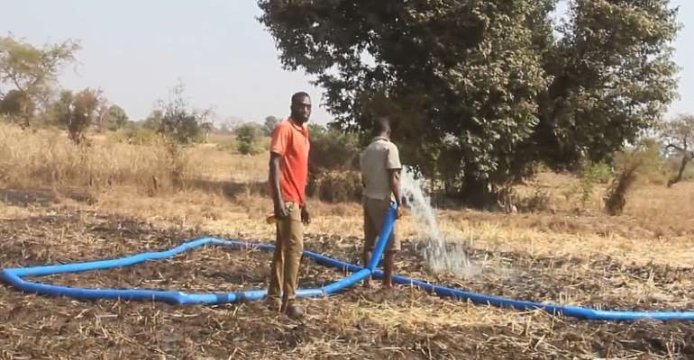 Dry season farmers along White Volta appeal for gov't support