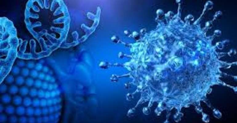 Roundup: Nigeria records highest single-day rise in COVID-19 cases