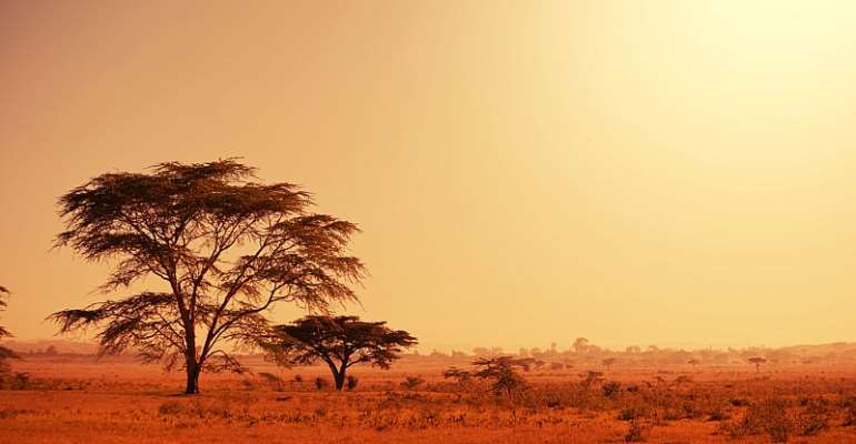 Grasslands can store carbon reliably under increasingly hot and dry climates. - Source: Shutterstock
