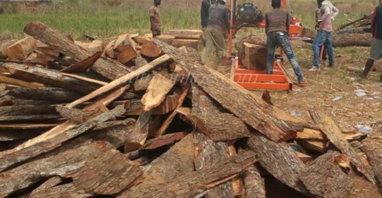 Forestry Commission intensify patrols in Rosewood harvesting areas