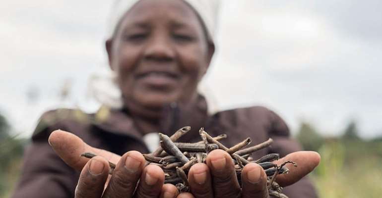 PULA raises $6m in Series A to help derisk Smallholder Farmers across Africa
