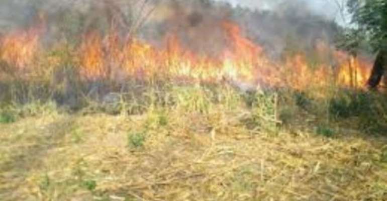 Bushfire cases increase in Central Region