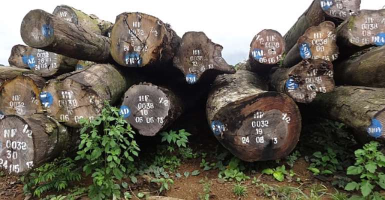 Cameroon President Authorizes Herakles Farms To Destroy Forests