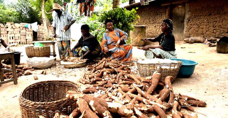 Gendering Agriculture: Women Spearhead Efforts To Feed The Continent
