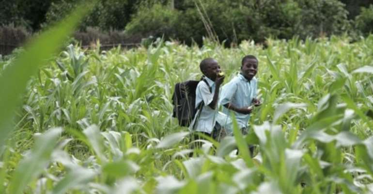 Connecting The Dots In Africa: It’s Not Just About Growth, It's About The Right Growth