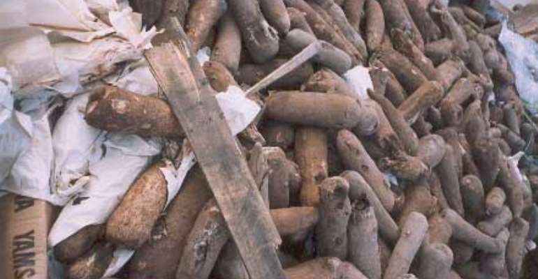 Excessive Yam Spoilage Upon Arrival in U.S. ports.