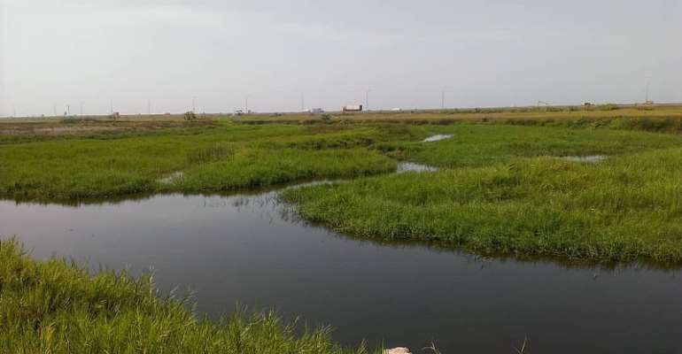 Ghana celebrates World Wetlands Day